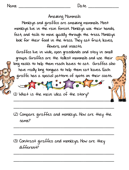 Compare and contrast essay example for 3rd grade